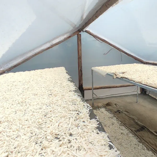 The effects of cassava drying technology on commercialization and consumption smoothing in rural Uganda